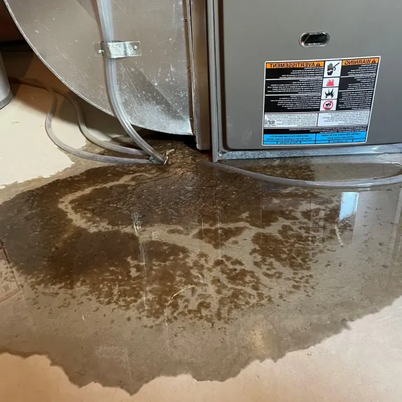 Pipe Burst and Leak Restoration in Bangor, PA