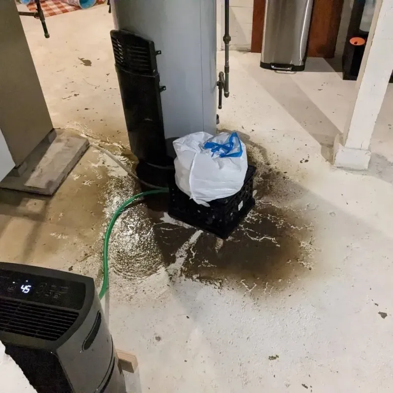 Sewage Backup Cleanup Service in Bangor, PA